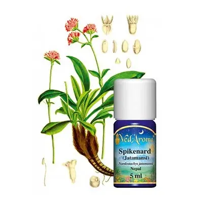 Maharishi Ayurveda Spikenard Jatamansi olja 5ml lugn