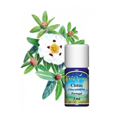 Maharishi Ayurveda Cistus eterisk olja 3 ml skyddande