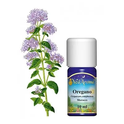 Maharishi Ayurveda Oregano eterisk olja 10ml