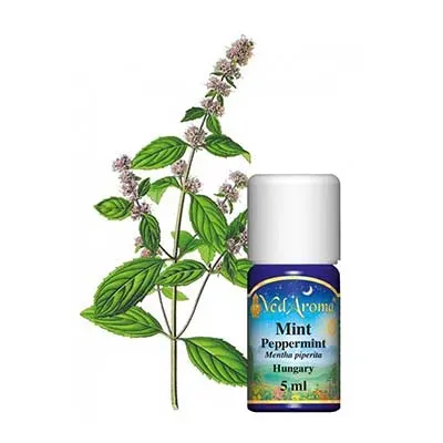 Maharishi Ayurveda Mint pepparmyntolja 5 ml Ungern