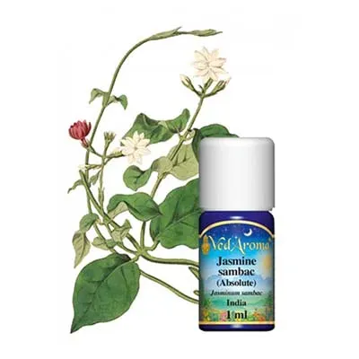 Maharishi Ayurveda Jasmine Sambac absolut olja 1 ml