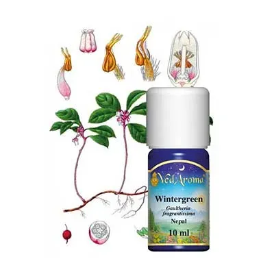 Maharishi Ayurveda Wintergreen eterisk olja 10 ml muskel