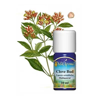 Maharishi Ayurveda Clove Bud eterisk olja 10ml fokus