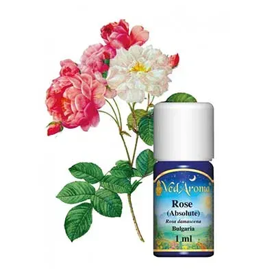 Maharishi Ayurveda Rose Absolute eterisk olja 1 ml Bulgarien